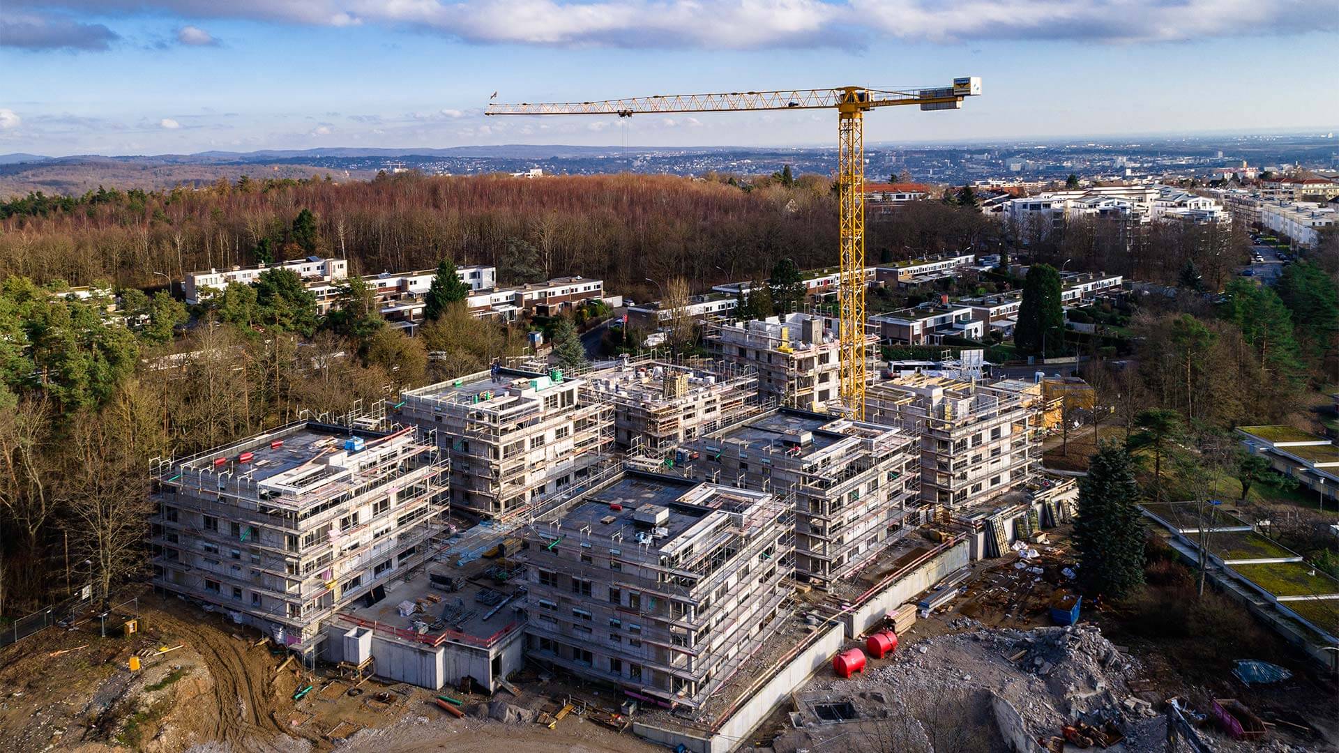 DJI_0237.jpg